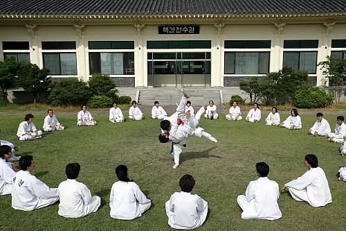 Taekkyeon (택견)